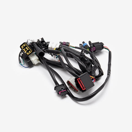 Wiring Loom for LJ125-9A-GT-E5, LJ125-9A-E5