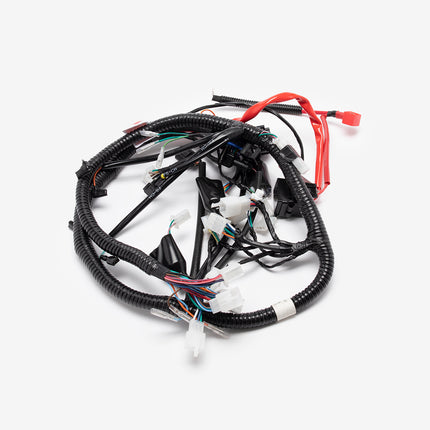 Wiring Loom for SK125-8-E5