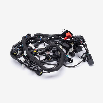Wiring Loom for LX500-K-E5