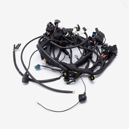 Wiring Loom for LX500-N-E5