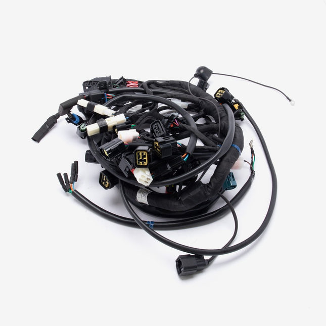 Wiring Loom for LX500-N-E5