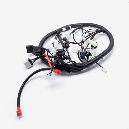 Wiring Loom for SK125-L-E5