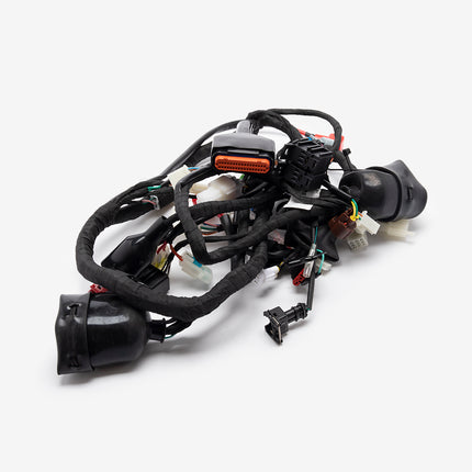 Single Plug ECU Wiring Loom for SY125-10-E5