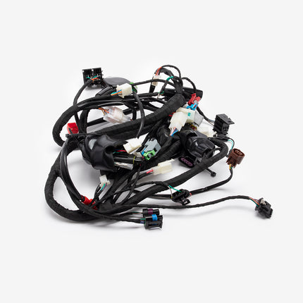 Single Plug ECU Wiring Loom for SY125-10-SE-E5