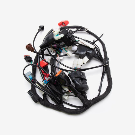 Single Plug ECU Wiring Loom for TR125-GP2-E5