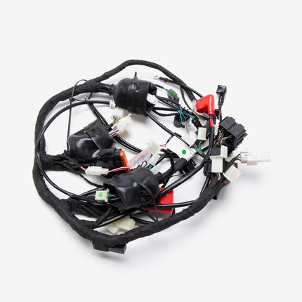 Single Plug ECU Wiring Loom for TR125-GP2-E5