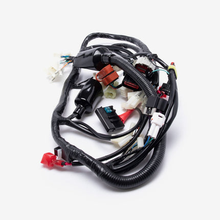 Wiring Loom for HJ125-J-E5