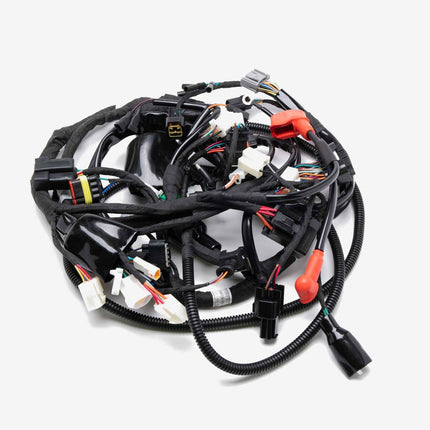 Wiring Loom for ZS125-39-E5