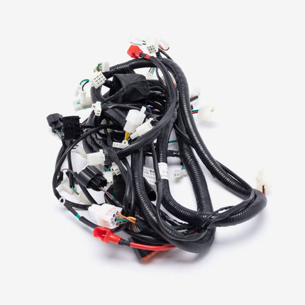 Single Plug ECU Wiring Loom for CL125T-E5