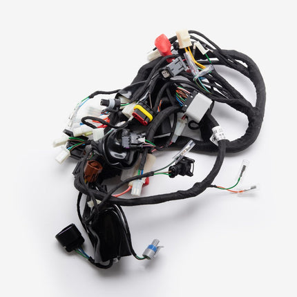 Double Plug ECU Wiring Loom for TR125-GP2-E5