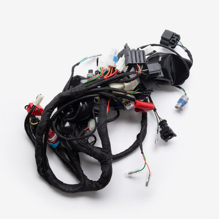Double Plug ECU Wiring Loom for TR125-GP2-E5