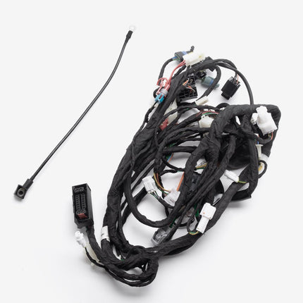 Single Plug ECU Wiring Loom for TR300T-P-E5