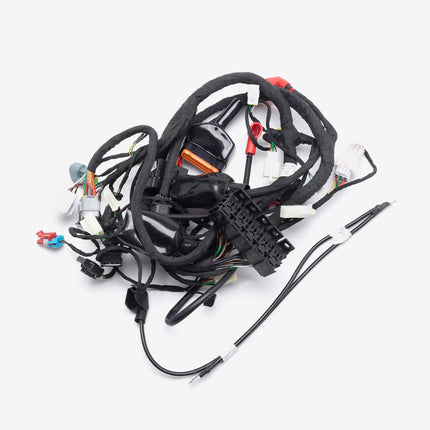 Wiring Loom for TR125-3-E5