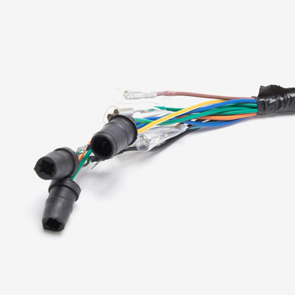 Speedo Wiring Loom