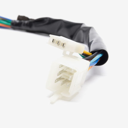 Speedo Wiring Loom
