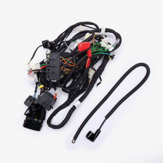 Wiring Loom