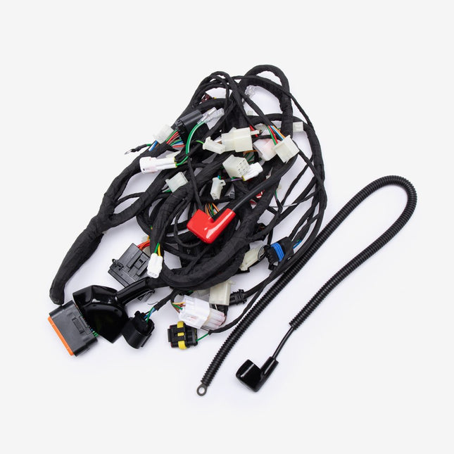 Wiring Loom