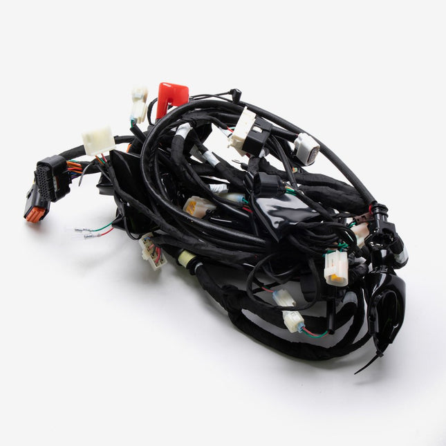 Wiring Loom