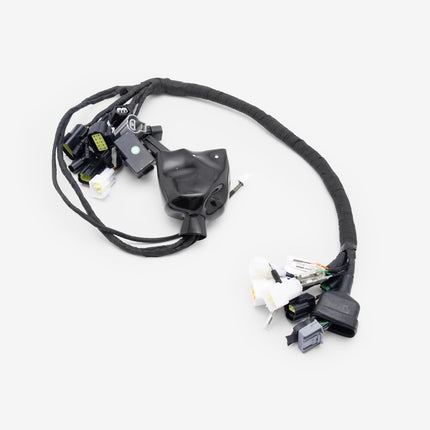 Full-E Charged Wiring Loom for Ultra Bee