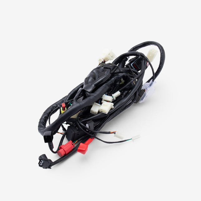 Wiring Loom