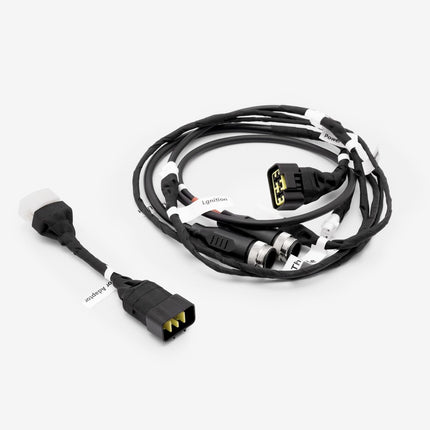 EBMX Race Harness for Surron Light Bee