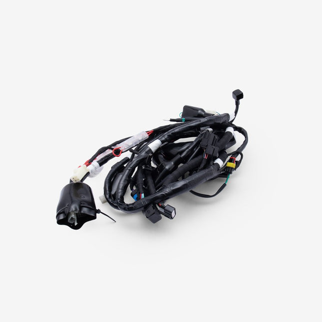 Wiring Loom