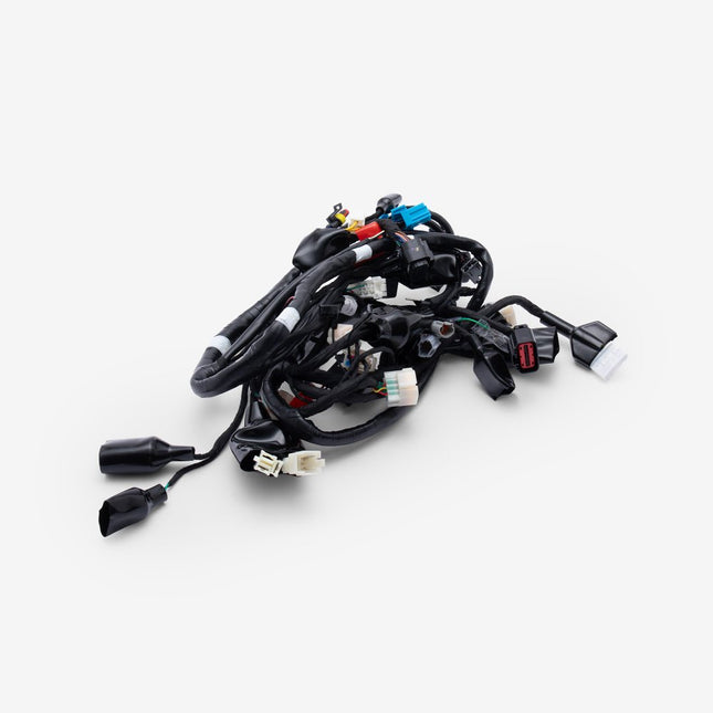 Wiring Loom