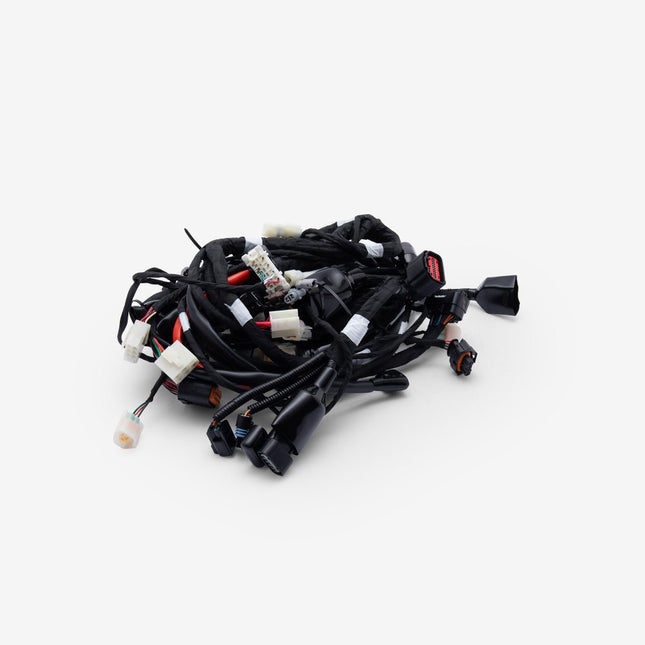 Wiring Loom
