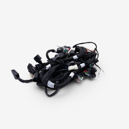 Wiring Loom