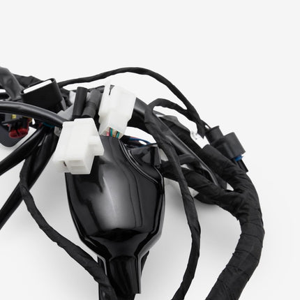 Wiring Loom