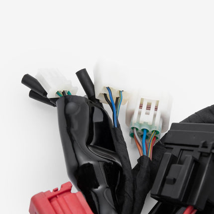 Wiring Loom