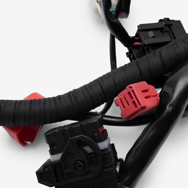 Wiring Loom