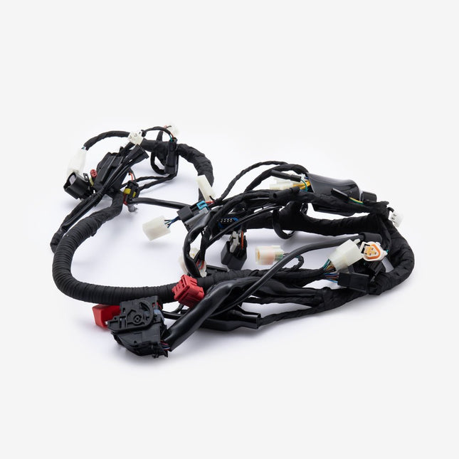 Wiring Loom