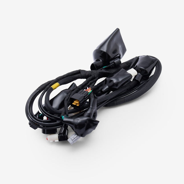 Wiring Loom