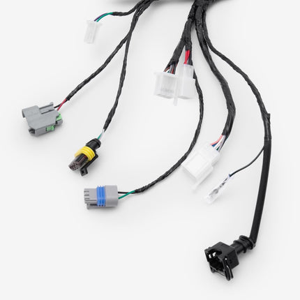 Wiring Loom