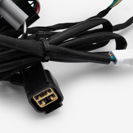 Wiring Loom