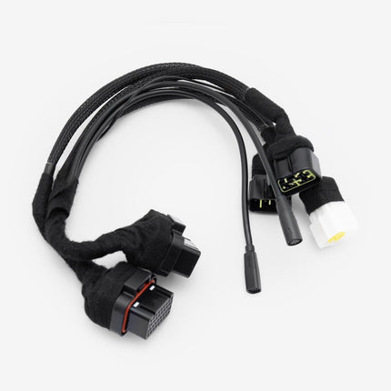EBMX XLB-60 Harness V3 for SRLGB