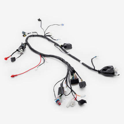 Wiring Loom