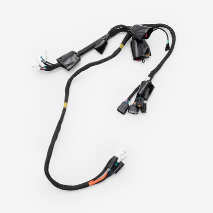 Wiring Loom
