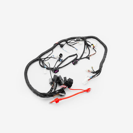 Wiring Loom