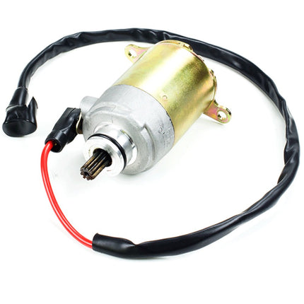 Scooter Starter Motor LJ1P52QMI
