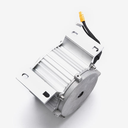 Motor 48V 350W WP for TT-E1022-E