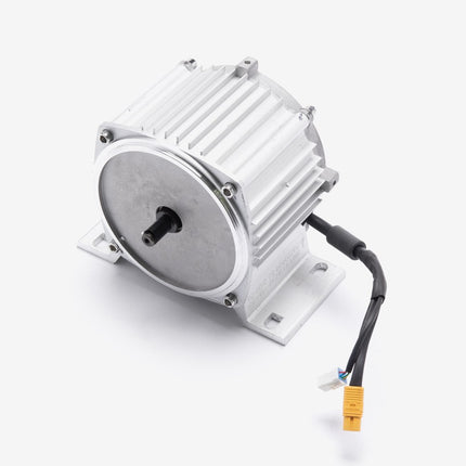 Motor 48V 350W WP for TT-E1022-E