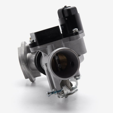 Throttle Body And Inlet Manifold