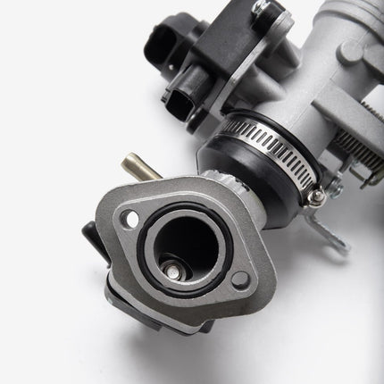 Throttle Body And Inlet Manifold
