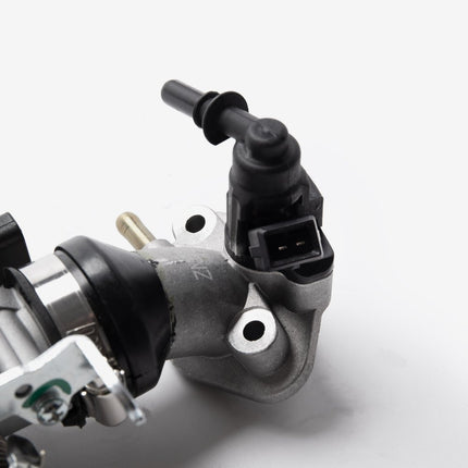 Throttle Body And Inlet Manifold