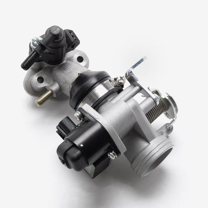 Throttle Body And Inlet Manifold