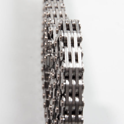 Timing/Cam Chain