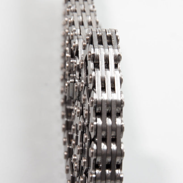 Timing/Cam Chain