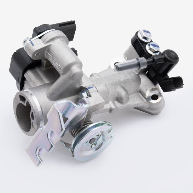 Throttle Body for Lexmoto OCR 125 E55 [WB125T-3B-E55]